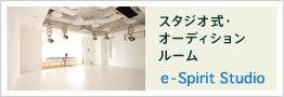 X^WIEI[fBV[ e-Spirit Studio