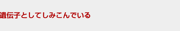 `qƂĂ݂ł